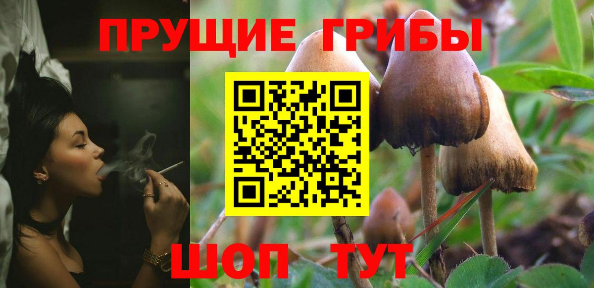Реутов  Галлюциногенные грибы Magic Shrooms  Вход с VPN 