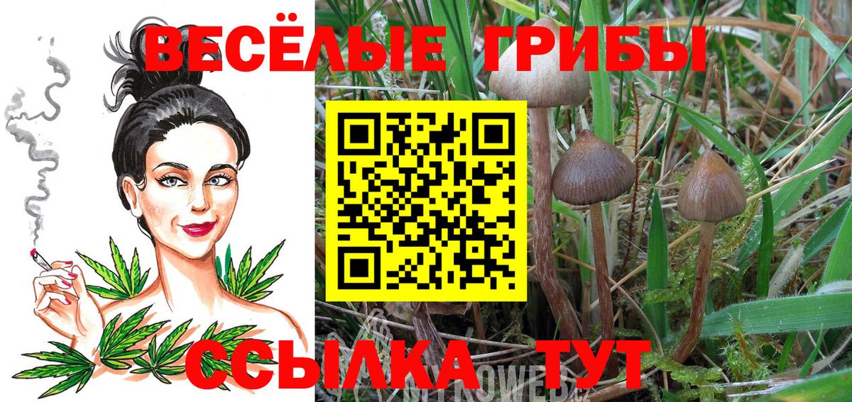 МЕТАДОН Реутов