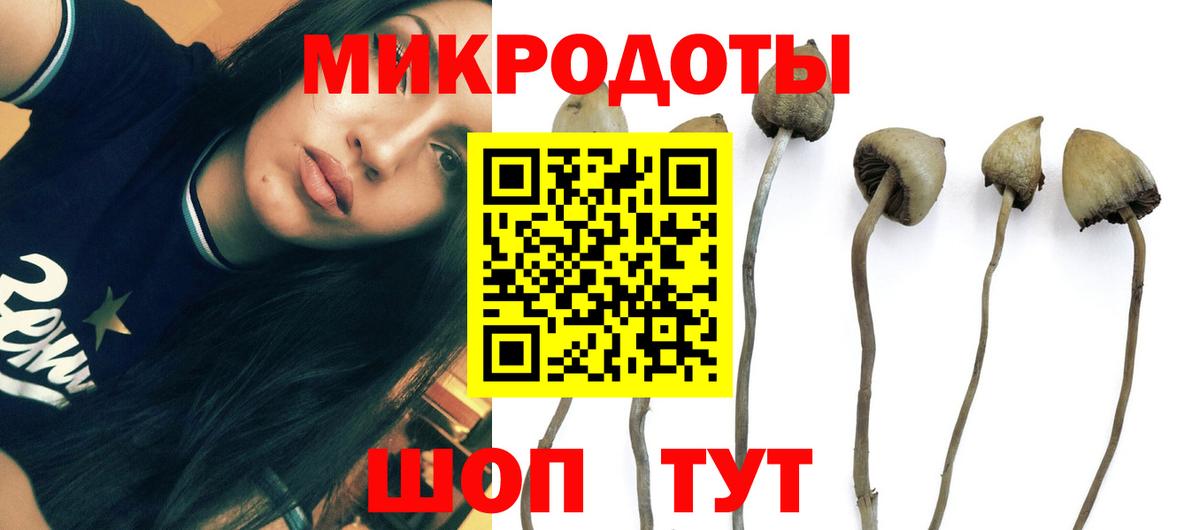 Псилоцибиновые грибы MAGIC MUSHROOMS Реутов